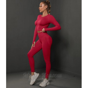 Безшовні жіночий фітнес комплект Crop top+Leggings model 16